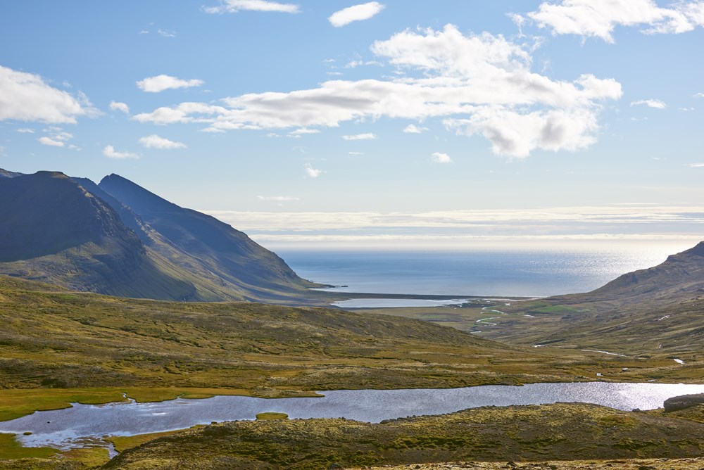 Yfirlit yfir skrÃ¡ Umhverfisstofnunar, um varnarefni sem hÃ¶fÃ°u