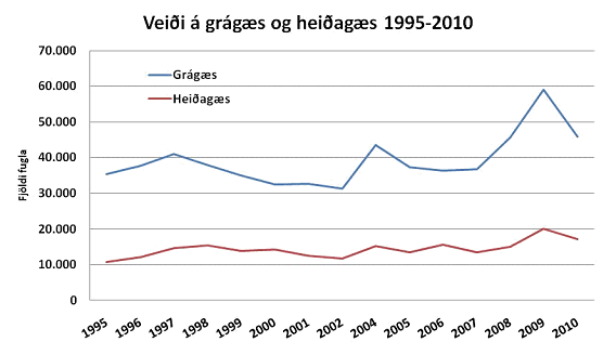 Veiði á grágæs og heiðagæs 1995-2010